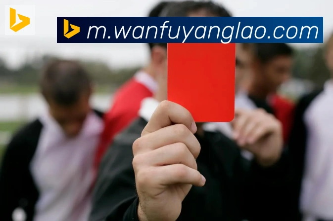 博亚官网品牌故事