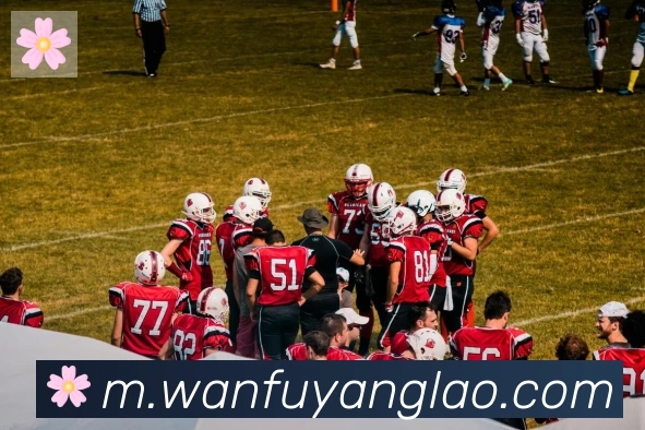 博亚官网服务体系